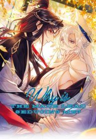 Why Is The Male Lead Seducing Me
